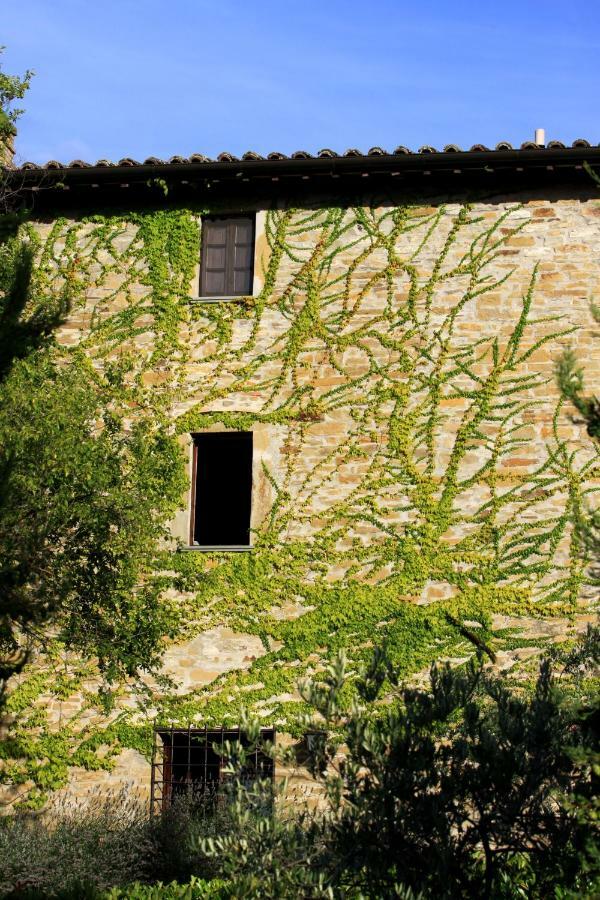 Villa Cavagnetti Pietralunga  Bagian luar foto